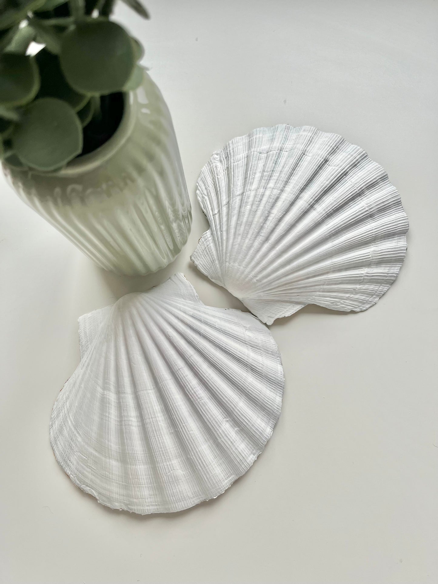 Personalised Floral Shell Jewellery Dish